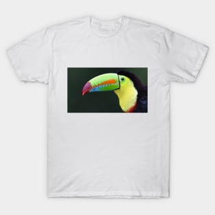 Keel-billed Toucan - Costa Rica T-Shirt